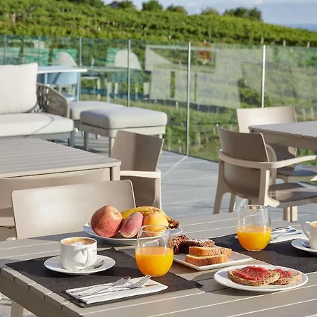 Ameztoi Experience Getaria