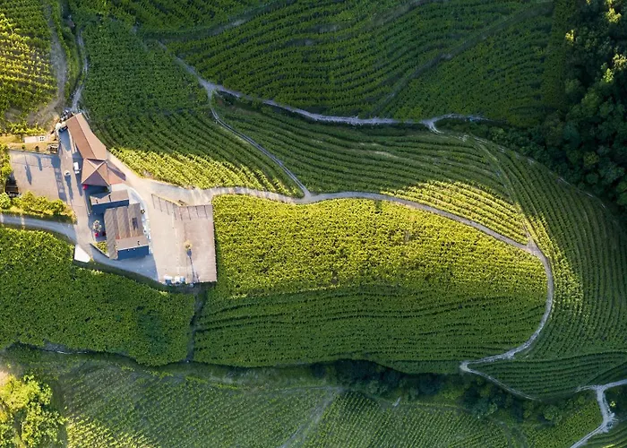 Ameztoi Experience *