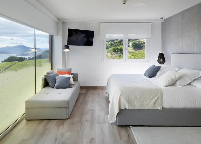 Ameztoi Experience *